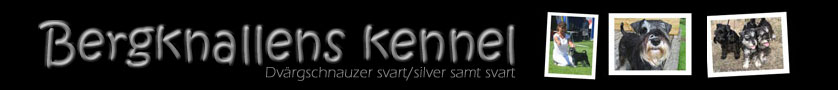 Välkommen till Bergknallens kennel!