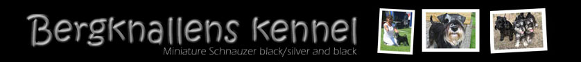 Welcome tol Bergknallens kennel!